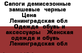 Сапоги демисезонные , замшевые, черные › Цена ­ 3 000 - Ленинградская обл. Одежда, обувь и аксессуары » Женская одежда и обувь   . Ленинградская обл.